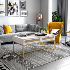 Rattan Coffee Table Modern with 2 Drawers