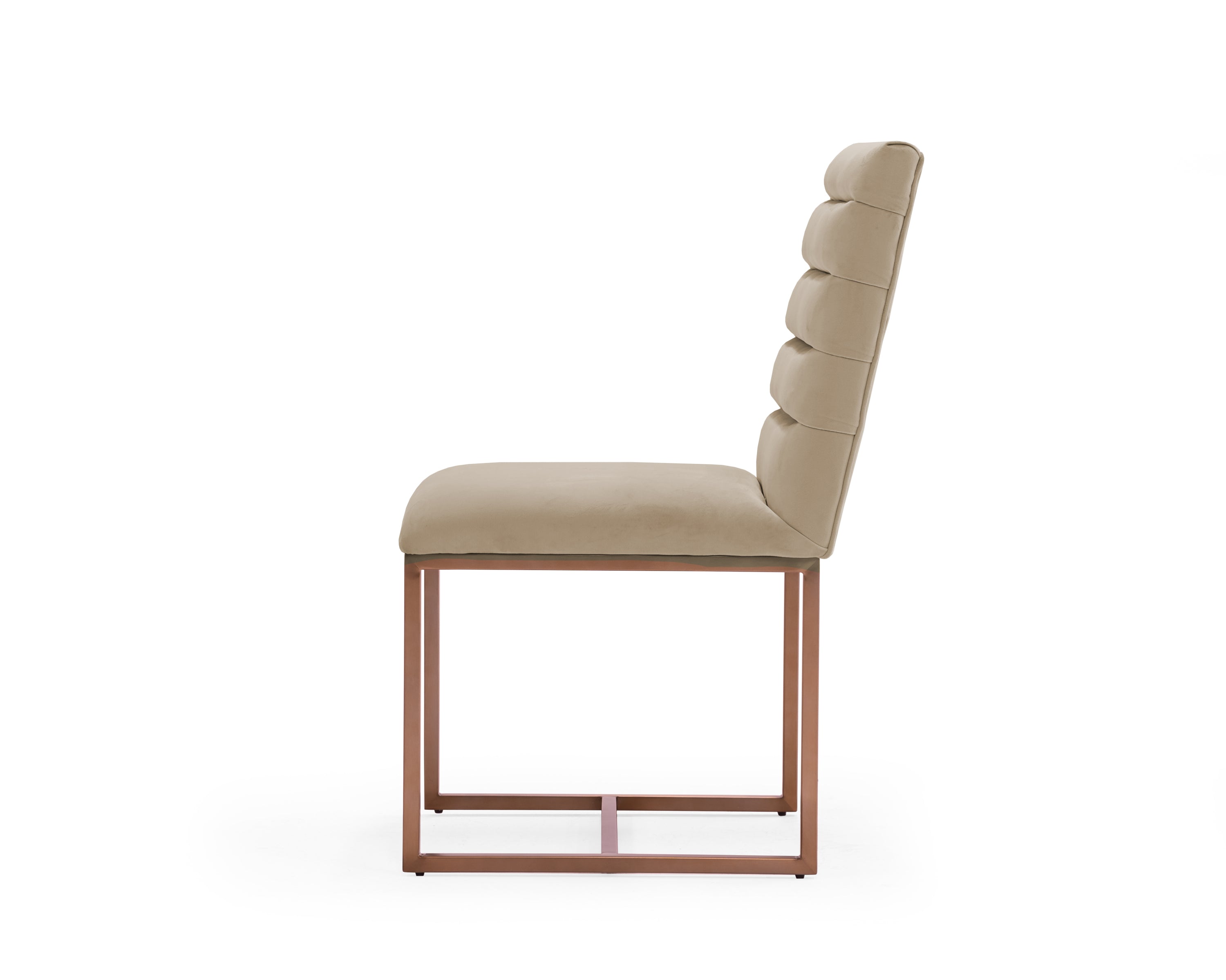 Modern Beige & Brush Gold Dining Chair (Set of 2)