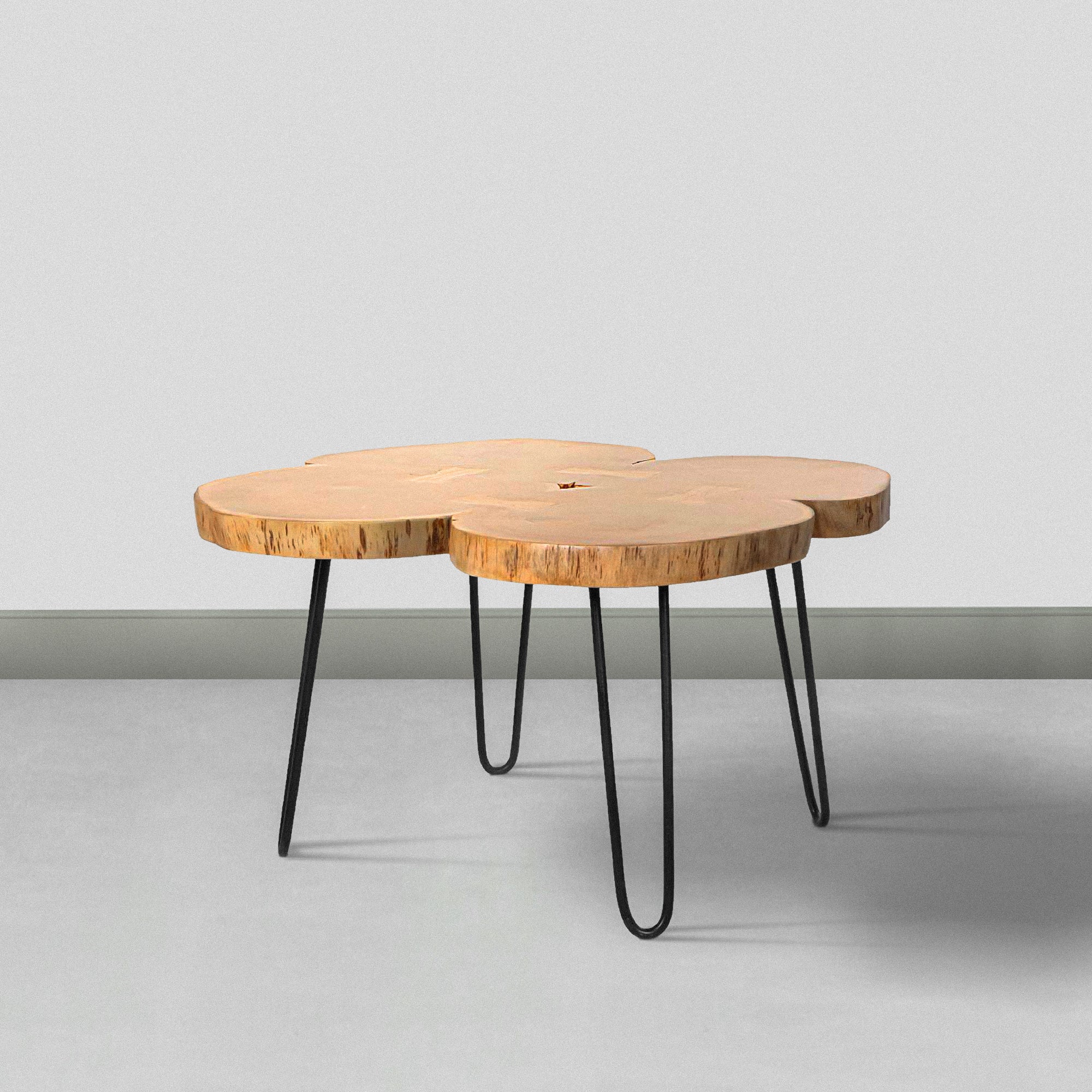 29 Inch Acacia Wood Coffee Table, Live Edge, Quatrefoil Top, Iron Hairpin Legs - Brown and Black