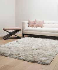 Shag Ivory Area Rug