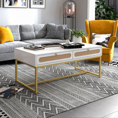 Rattan Coffee Table Modern with 2 Drawers