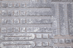Graphics Gray and Beige Polyester Area Rug 5x8