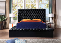 Queen Size with Storage Locker Deep Button Tufting Silver Metal Leg - Black