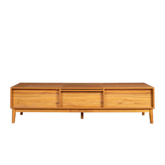 TV Stand with Storage