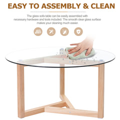 Round Modern Glass Coffee Table - Natural
