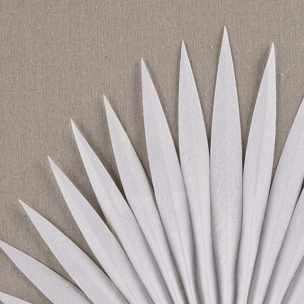 Sabal Framed Rice Paper Palm Leaves 3-piece Shadowbox Wall Decor Set - Natural & White