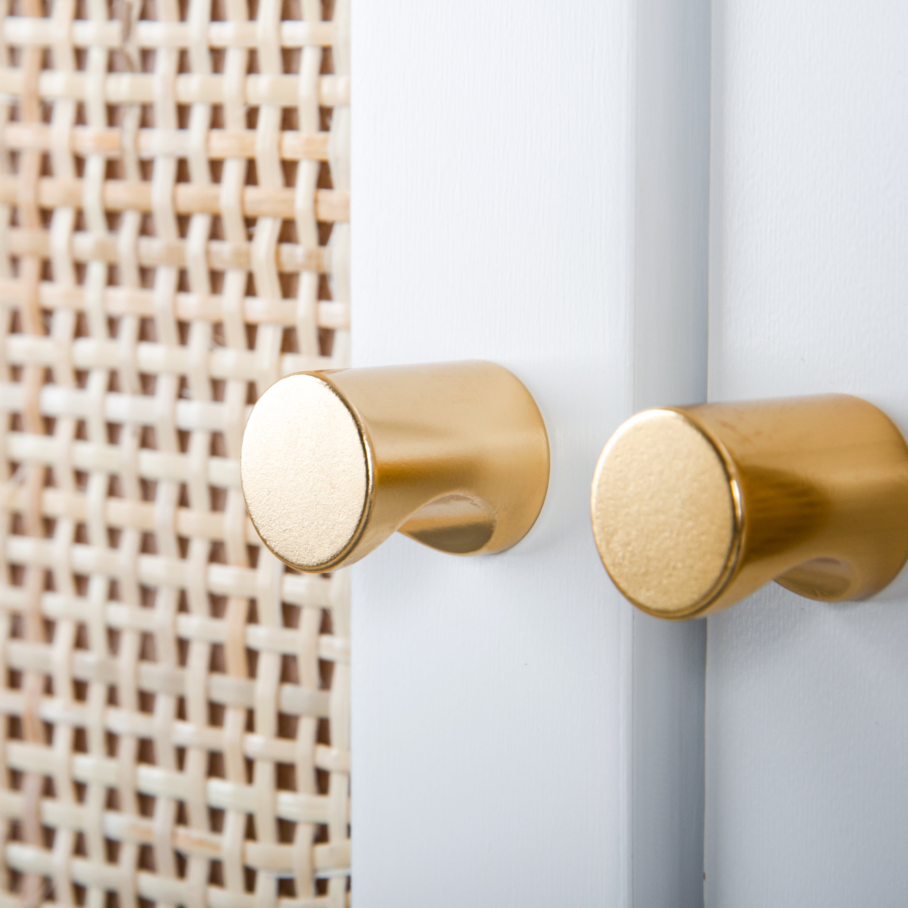 Door Cabinet