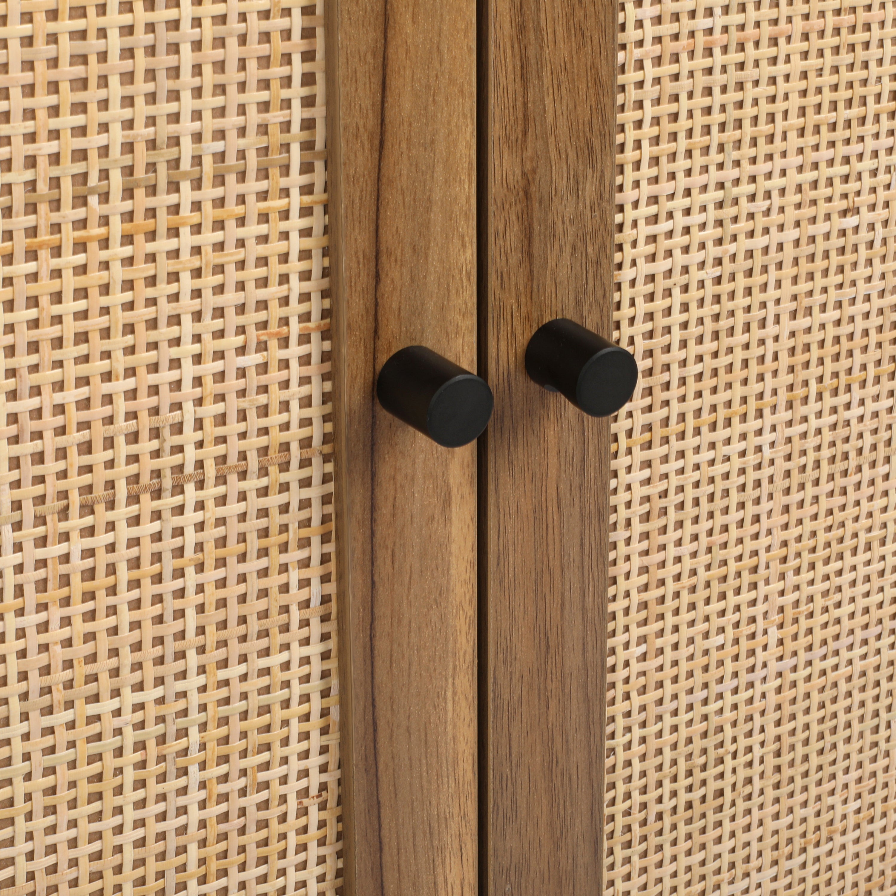 Door Cabinet Inner Shelves