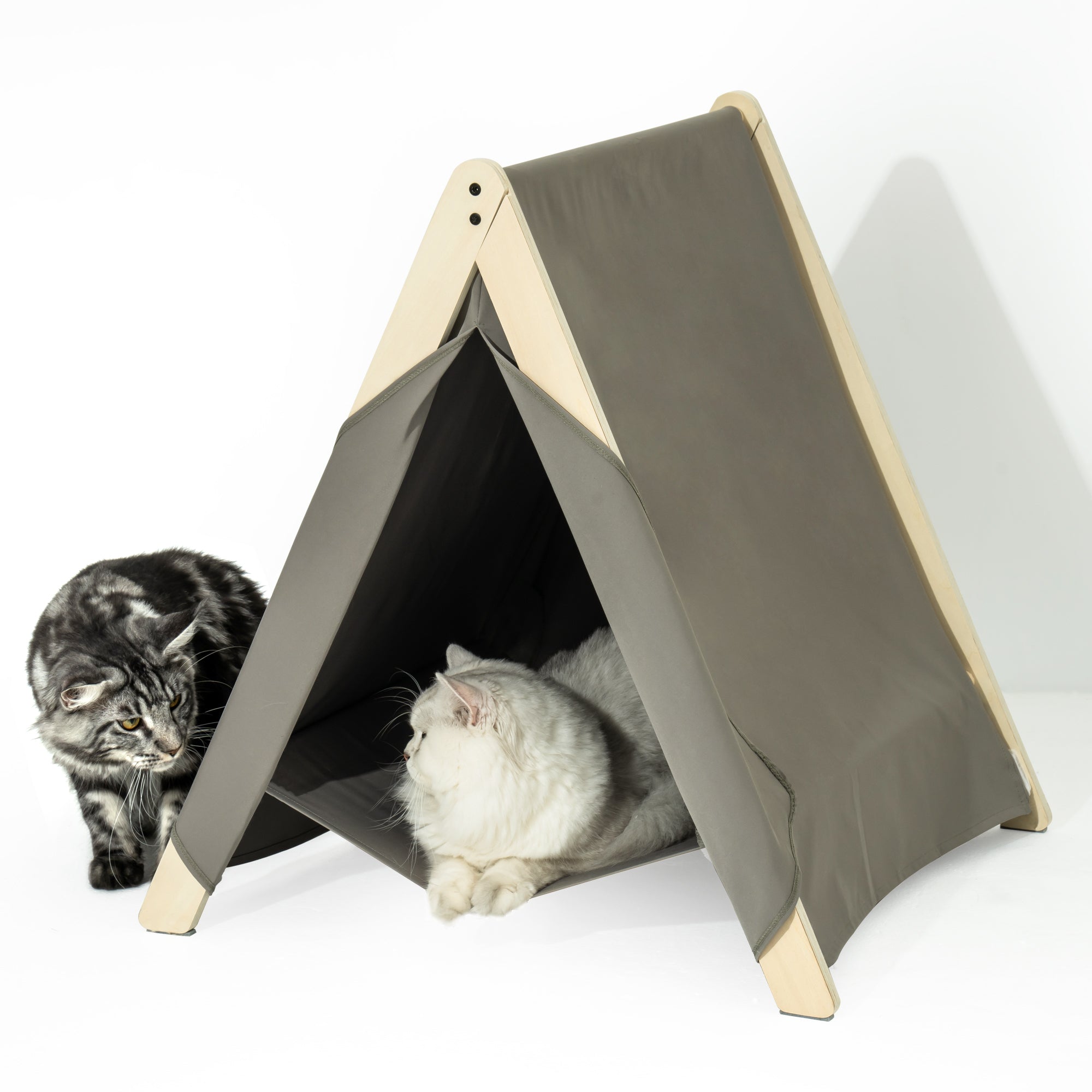 Pet Tent, Cat Tent for Indoor Cats, Wooden Cat House for small Pets - Gray green