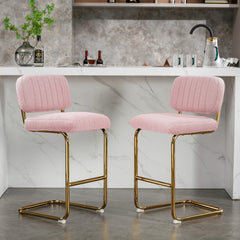 Modern Counter Height Bar Stools (Set of 2) - Pink