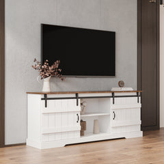 Sliding Barn Door TV Stand