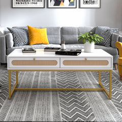 Rattan Coffee Table Modern with 2 Drawers