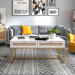 Rattan Coffee Table Modern with 2 Drawers